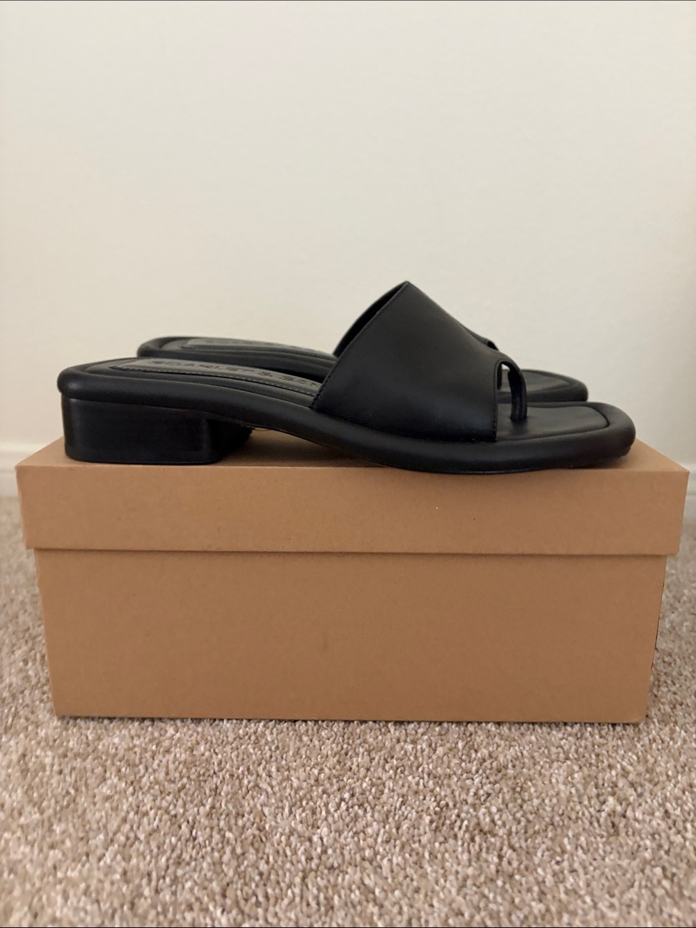 Women's Black Sandal with Low Block Heel